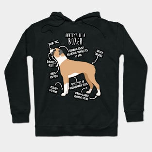 Boxer Dog Fawn Anatomy Hoodie